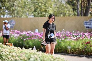 BIB: 
                            <button type="button" onclick="openModal(27799139)" class="btn btn-primary btn-sm float-right btn-popup" data-toggle="modal" data-target=".modal-high-quality">
                        <i class="fas fa-shopping-cart"></i> Add to Cart
                    </button>
                                            <button type="button" onclick="isThisMe(27799139, true)" class="btn btn-success btn-sm float-right btn-popup btn-isme hidden" data-toggle="tooltip" data-placement="bottom" title="นี่คือรูปของคุณใช่ไหม คลิกที่นี่เพื่อเอาเข้าอัลบั้ม">
                        <i class="fas fa-plus"></i> Add to album
                    </button>
                    <button type="button" onclick="isThisMe(27799139, false)" class="btn btn-warning btn-sm float-right btn-popup btn-isnotme hidden">
                        <i class="fas fa-ban"></i> Remove from album
                    </button>